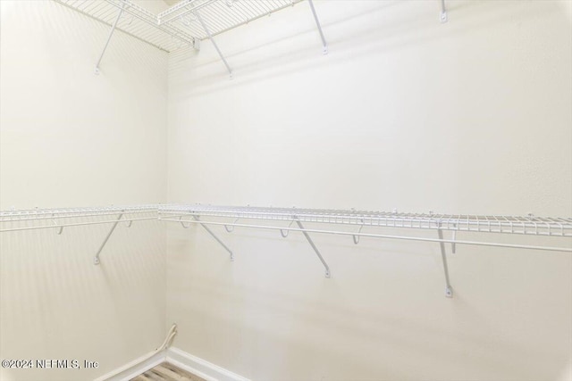 spacious closet with wood-type flooring