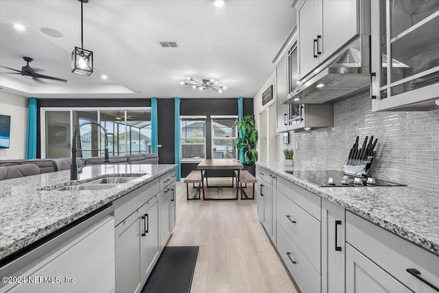 kitchen featuring light hardwood / wood-style flooring, a wealth of natural light, black electric cooktop, and dishwashing machine