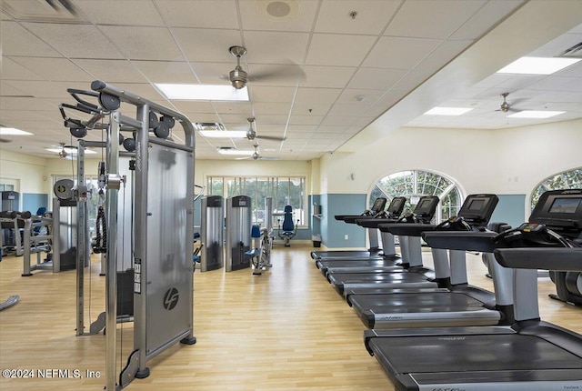 exercise room with a paneled ceiling, ceiling fan, and light hardwood / wood-style flooring