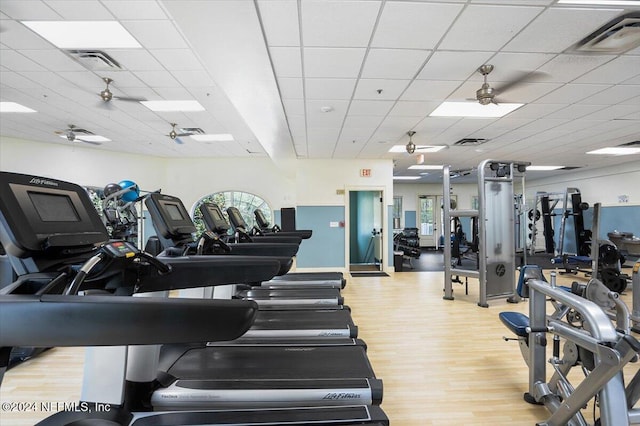 exercise room featuring a paneled ceiling, light wood-type flooring, and ceiling fan