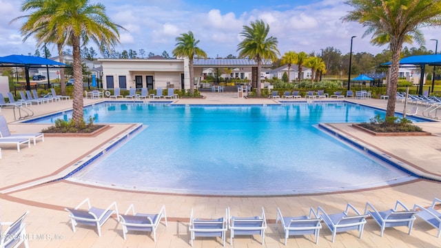 view of pool featuring a patio