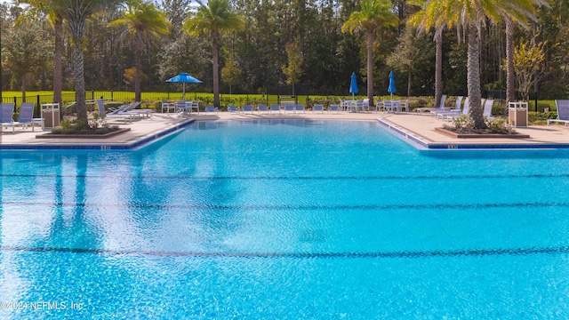 view of pool featuring a patio area