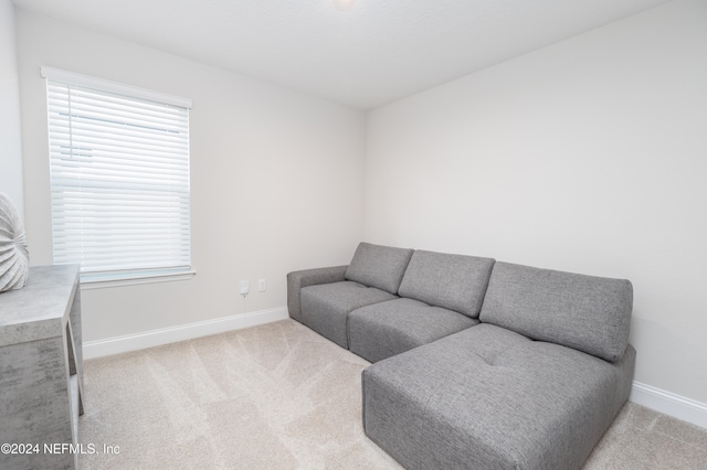 living room featuring light colored carpet