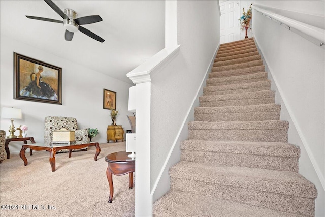 staircase with carpet flooring and ceiling fan