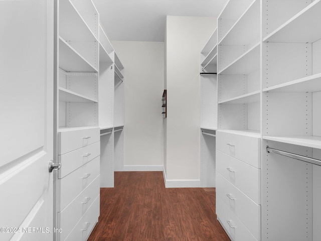 spacious closet featuring dark wood-type flooring