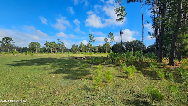 0 NE 199th St, Waldo FL, 32694 land for sale