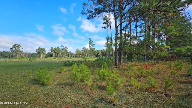 Listing photo 2 for 0 NE 199th St, Waldo FL 32694