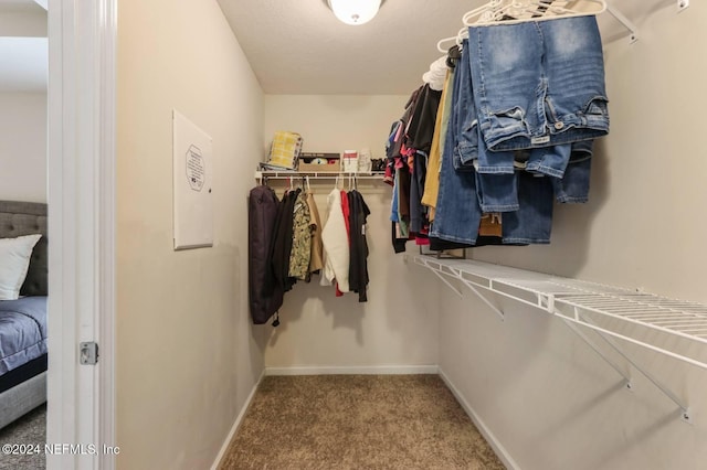 spacious closet with carpet flooring