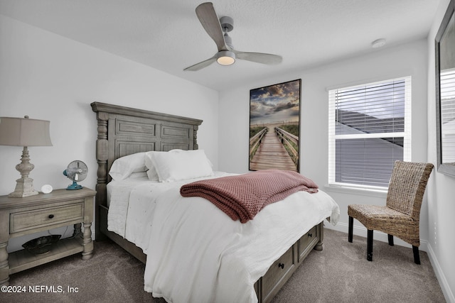 299 Blue Hampton Dr, Ponte Vedra, FL 32081 - photo 47