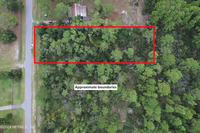 117 Whispering Pines Rd, Georgetown FL, 32139 land for sale