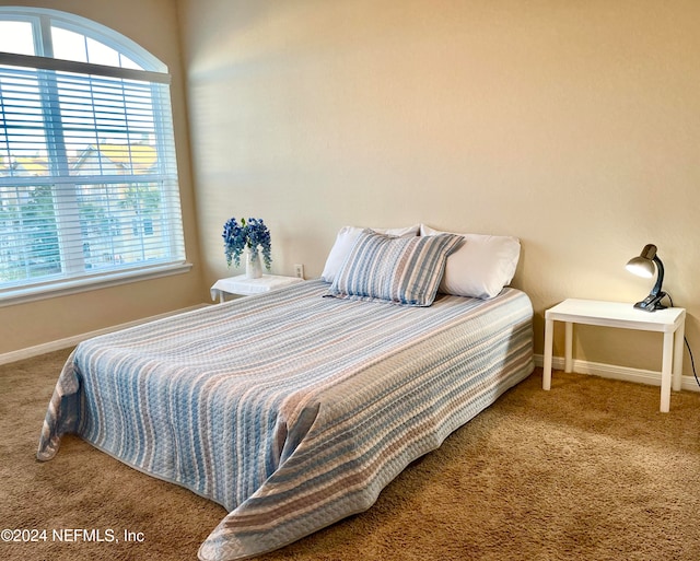 bedroom featuring carpet floors