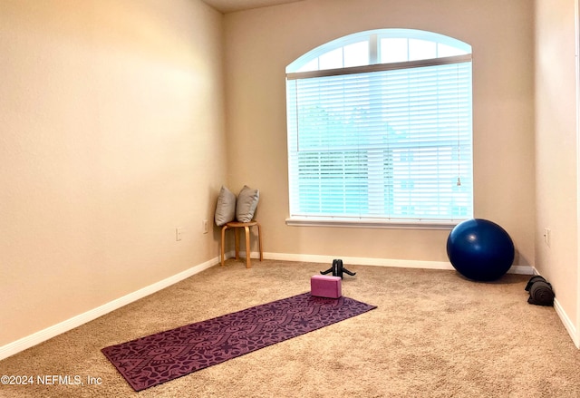 workout room featuring plenty of natural light and carpet