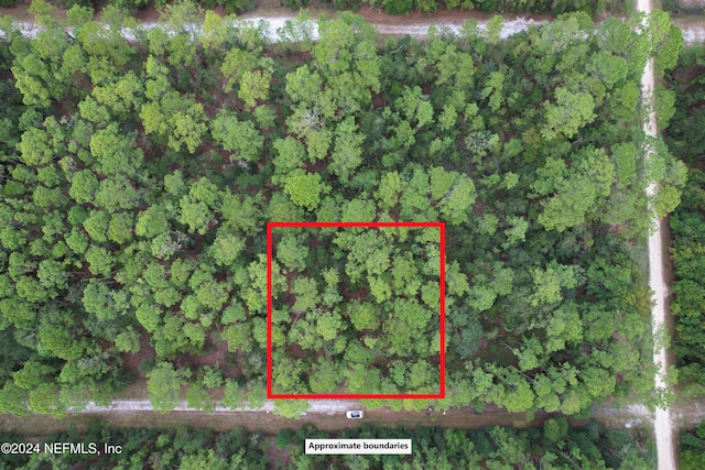 136 Helen Ave, Georgetown FL, 32139 land for sale