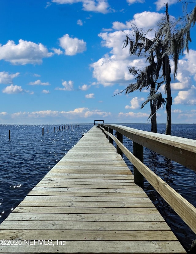 136 Helen Ave, Georgetown, FL 32139