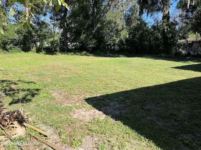 5519 River Forest Dr, Jacksonville, FL 32211 - photo 33
