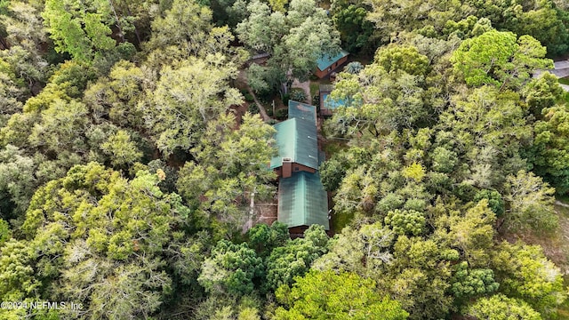 7816 Whispering Pines Ln, Glen St Mary, FL 32040 - aerial view of property and surrounding area featuring a forest