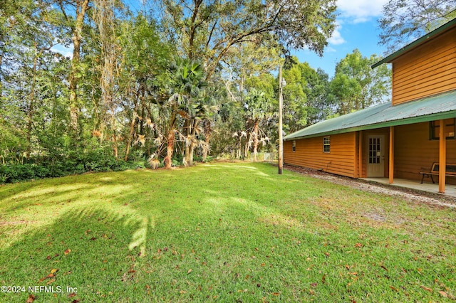 view of yard featuring a patio area