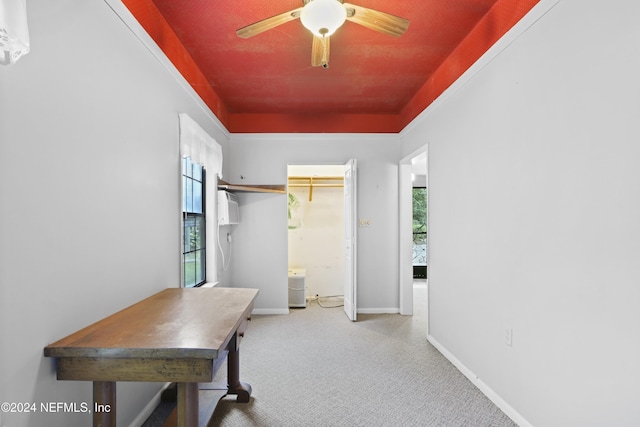 7816 Whispering Pines Ln, Glen St Mary, FL 32040 - hallway featuring healthy amount of natural light, carpet flooring, and baseboards