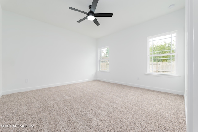 spare room featuring ceiling fan, plenty of natural light, and carpet flooring