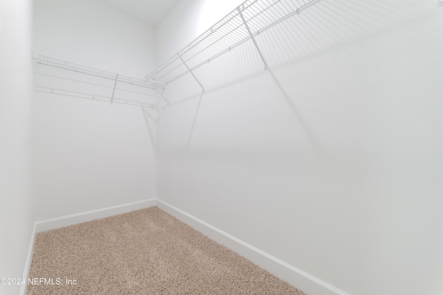 spacious closet with carpet flooring