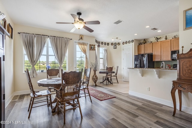 dining space with ceiling fan, a healthy amount of sunlight, light wood-type flooring, and a textured ceiling