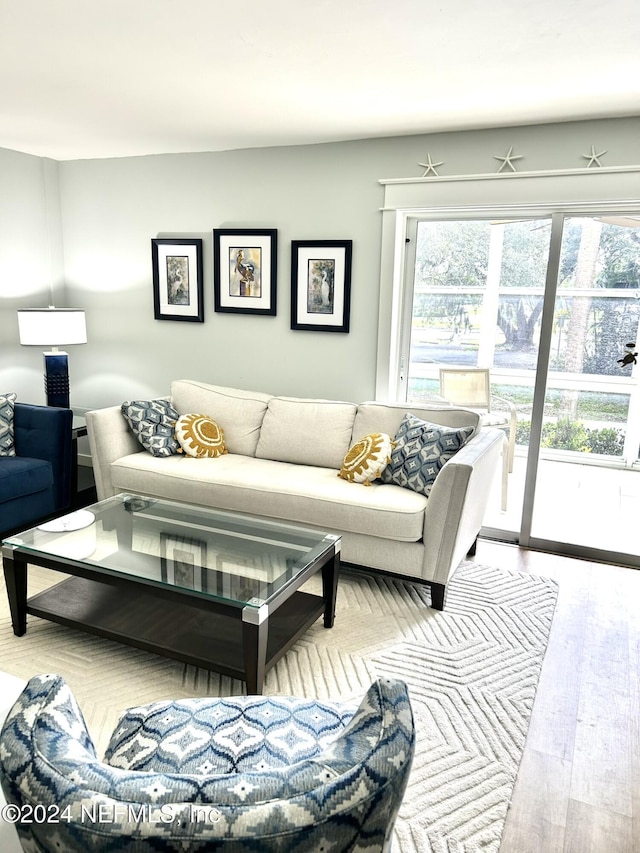 living room featuring light hardwood / wood-style floors