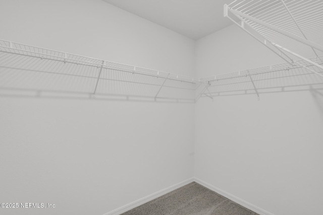 37343 Whisper Way, Hilliard, FL 32046 - spacious closet featuring carpet floors