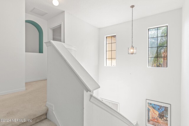 stairs featuring carpet floors