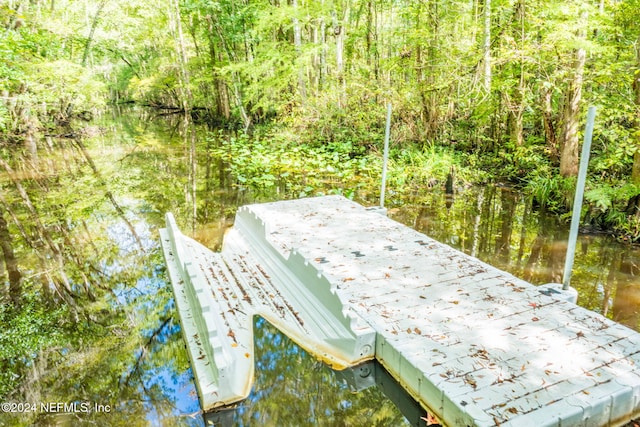 dock area featuring a water view