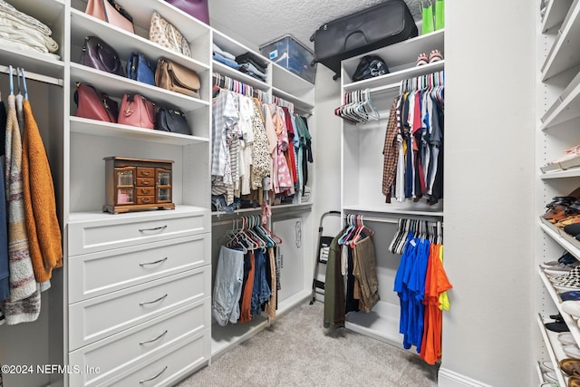 spacious closet with light carpet