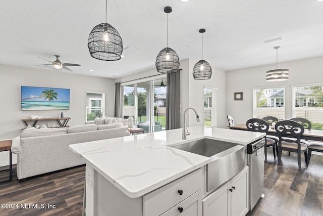 kitchen featuring a wealth of natural light, stainless steel dishwasher, an island with sink, and dark hardwood / wood-style flooring