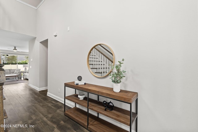 hall with ornamental molding and dark wood-type flooring