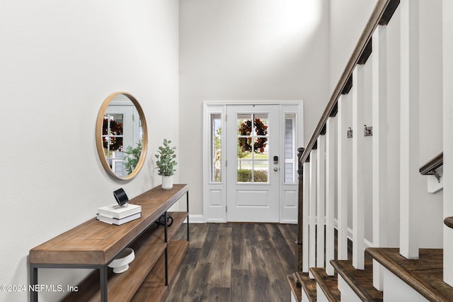 foyer with dark hardwood / wood-style flooring