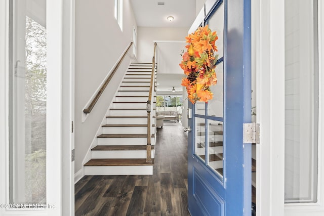 entrance foyer featuring dark hardwood / wood-style flooring