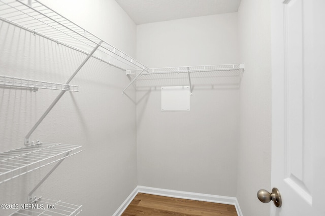 walk in closet featuring hardwood / wood-style flooring