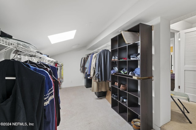 spacious closet featuring carpet floors