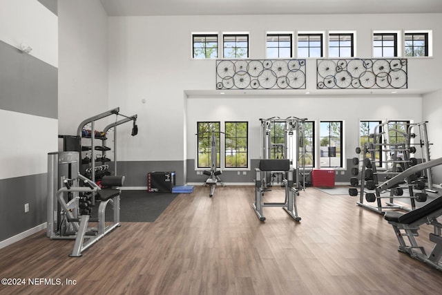 exercise room with a wealth of natural light, wood-type flooring, and a high ceiling