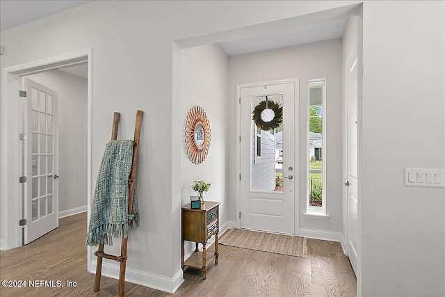 entrance foyer with wood-type flooring