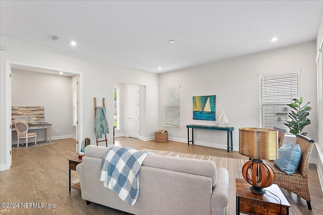 living room featuring wood-type flooring