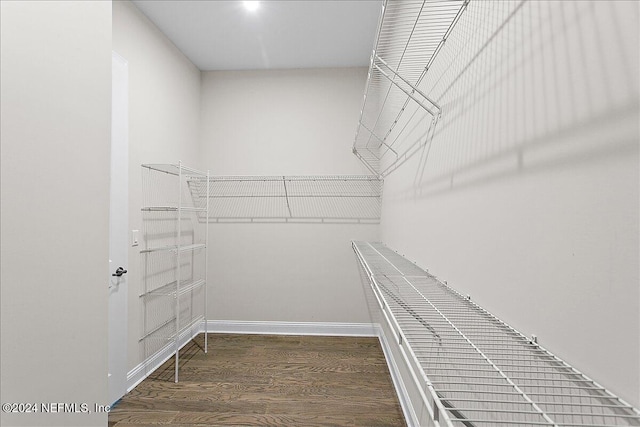 walk in closet with dark wood-type flooring