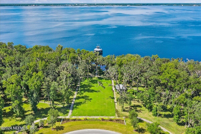 drone / aerial view with a water view