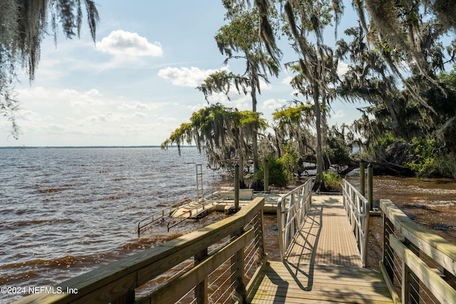 dock area featuring a water view