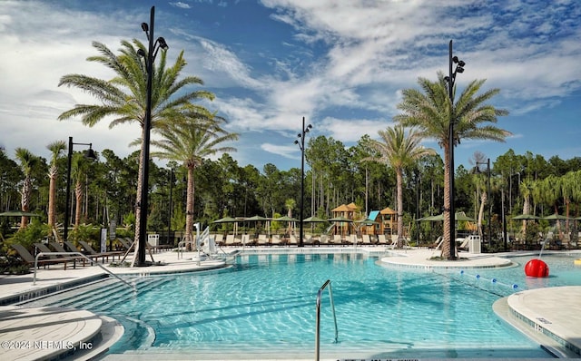 view of swimming pool with a patio