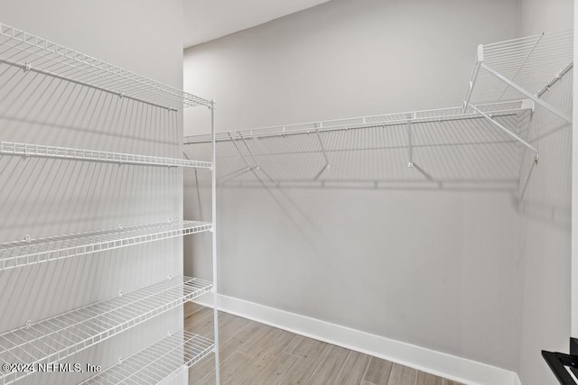 walk in closet featuring hardwood / wood-style floors