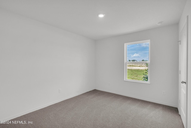 spare room featuring carpet floors