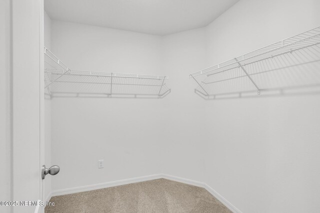 37148 Whippoorwill Ct, Hilliard, FL 32046 - spacious closet featuring carpet floors