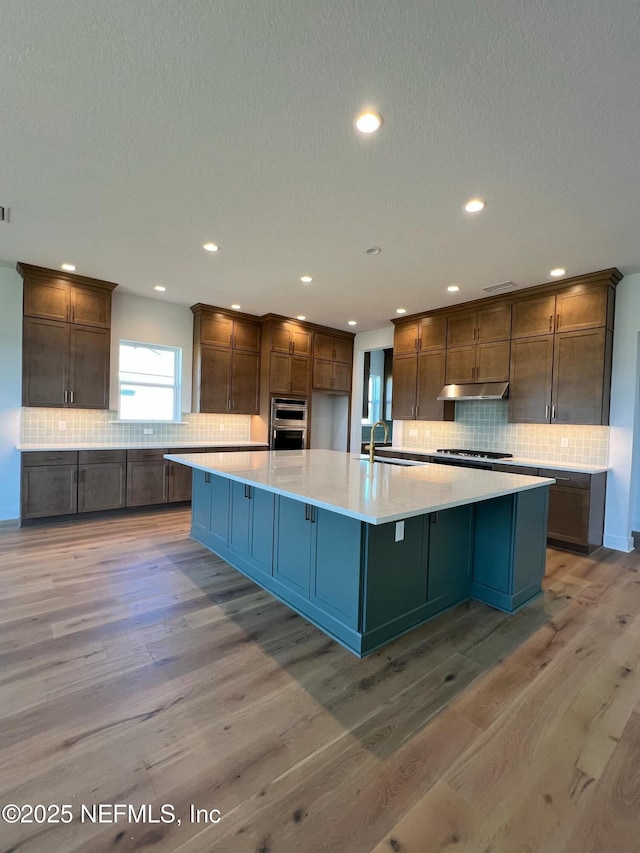 kitchen featuring light wood-type flooring, light countertops, a sink, and under cabinet range hood