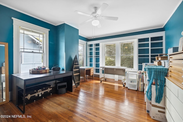 office featuring hardwood / wood-style floors, ceiling fan, crown molding, and a wealth of natural light