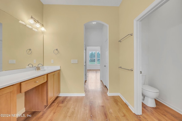 bathroom featuring toilet, vanity, and wood-type flooring