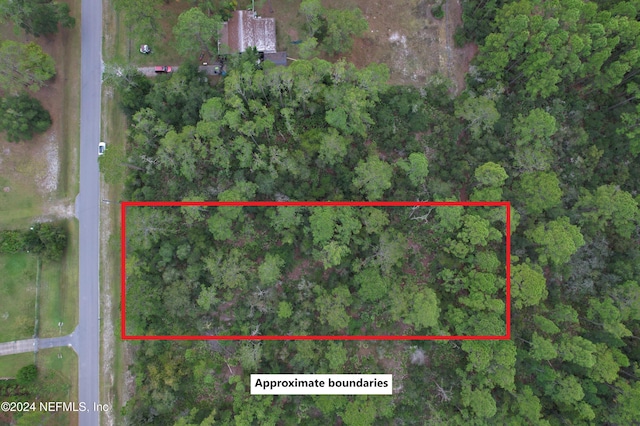 119 Whispering Pines Rd, Georgetown FL, 32139 land for sale